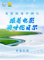 一区二区不卡在线观看